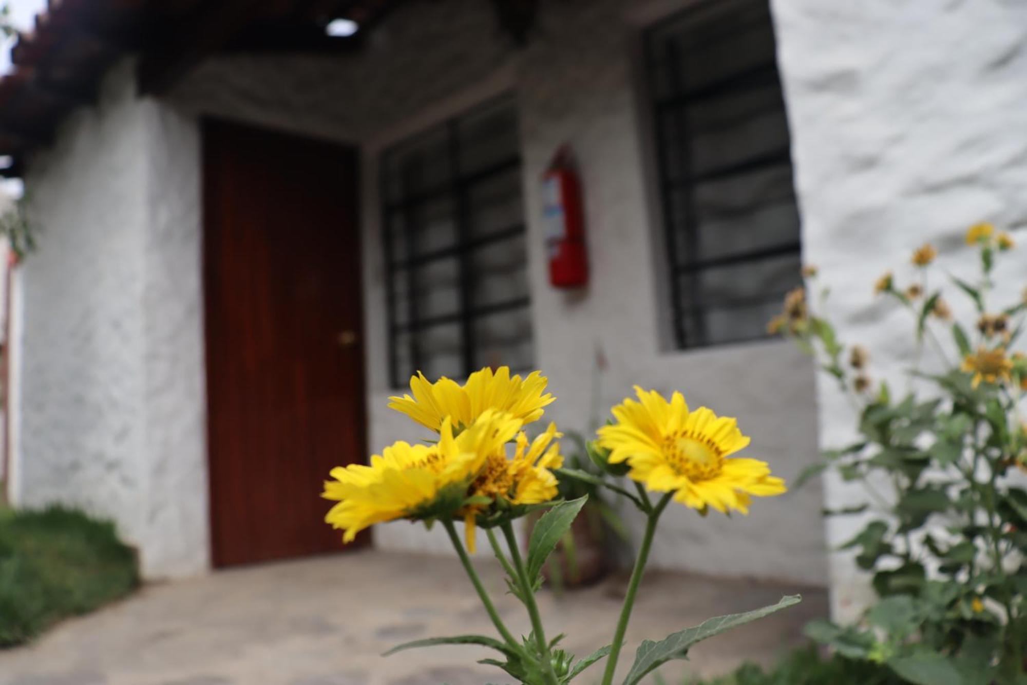 Los Andes - Restaurant & Bungalows Сиенегия Екстериор снимка