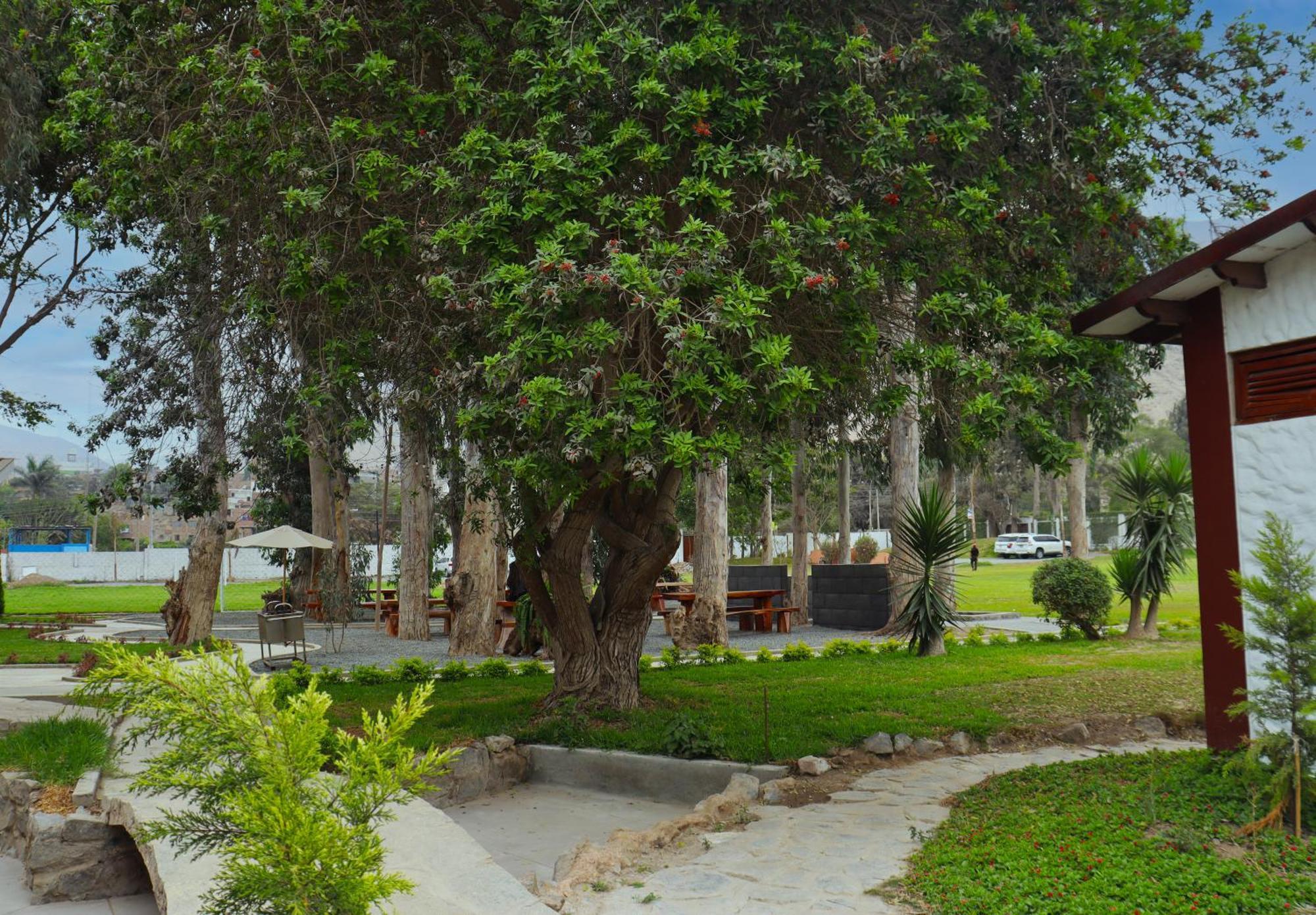 Los Andes - Restaurant & Bungalows Сиенегия Екстериор снимка